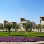 2843865-239dfo-webp_format