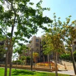 DSC_4737-webp_format