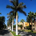 Palm Hills October realestate_eg