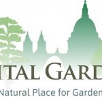 image-CGLOGO-940x433q85