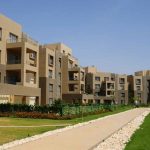 palm parks palm hills